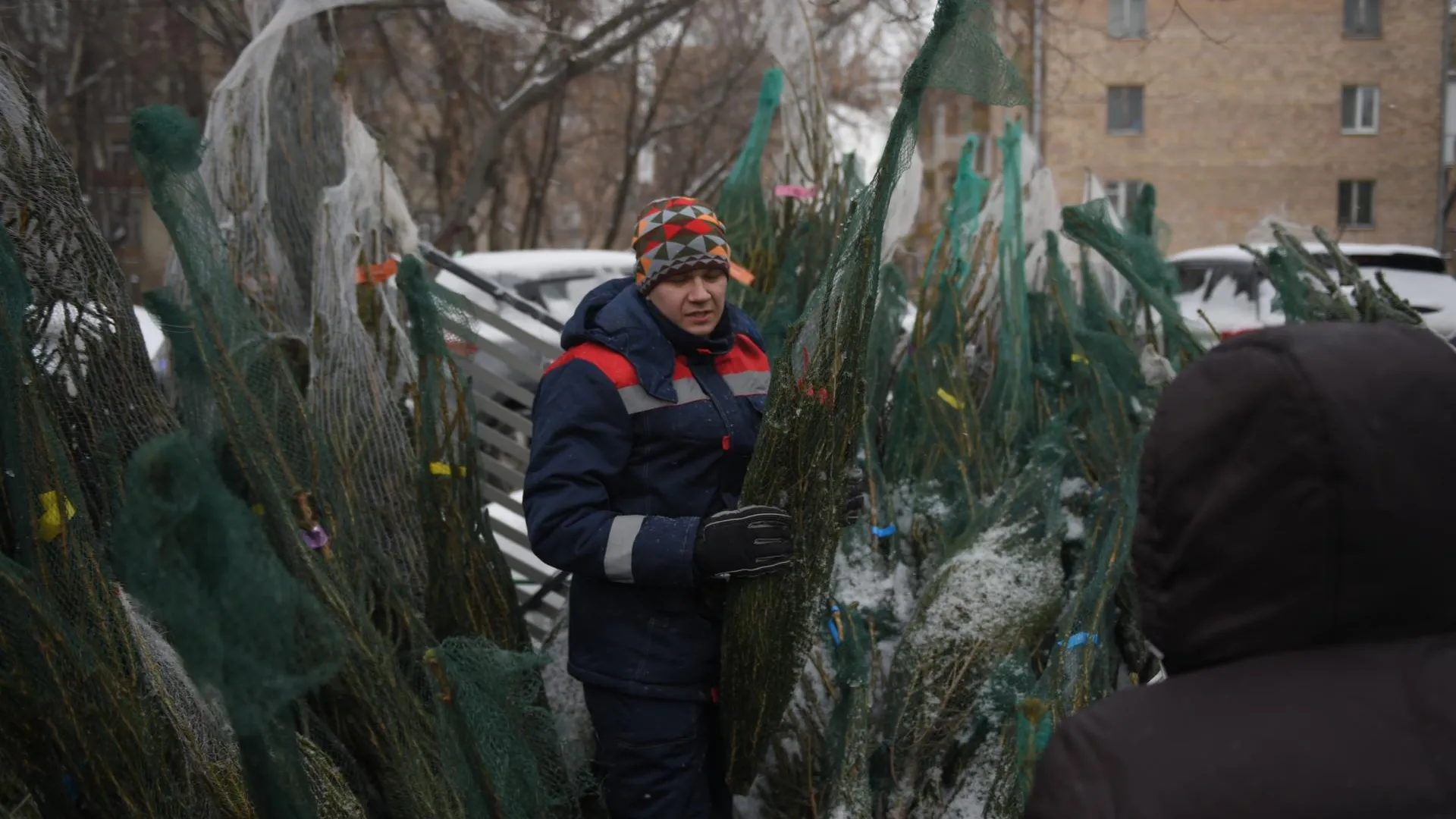 Свыше 400 елочных базаров откроются в Подмосковье