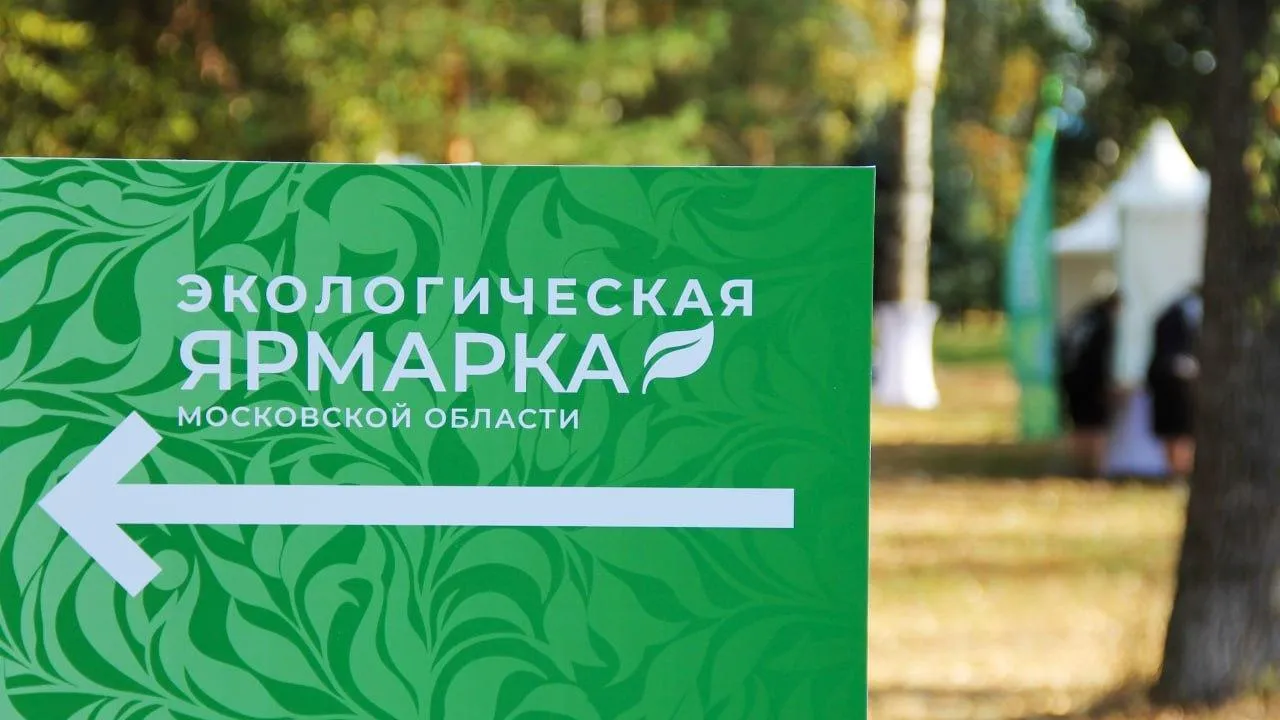 Свыше 180 заявок подали в Подмосковье на участие в «Ярмарке экологических проектов»