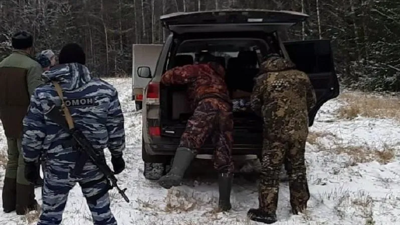 Подольских браконьеров, устроивших незаконную охоту, лишили охотничьих билетов