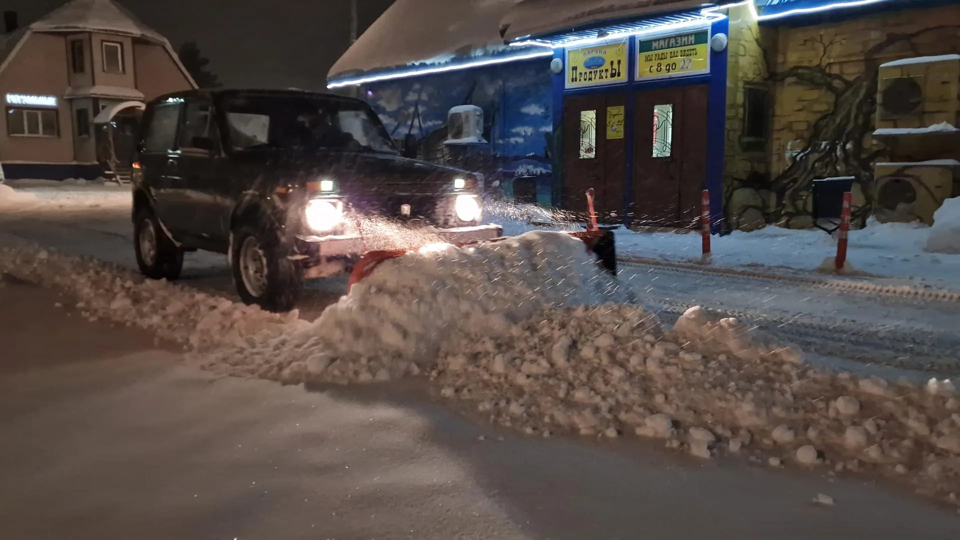 Анастасия Игнатова