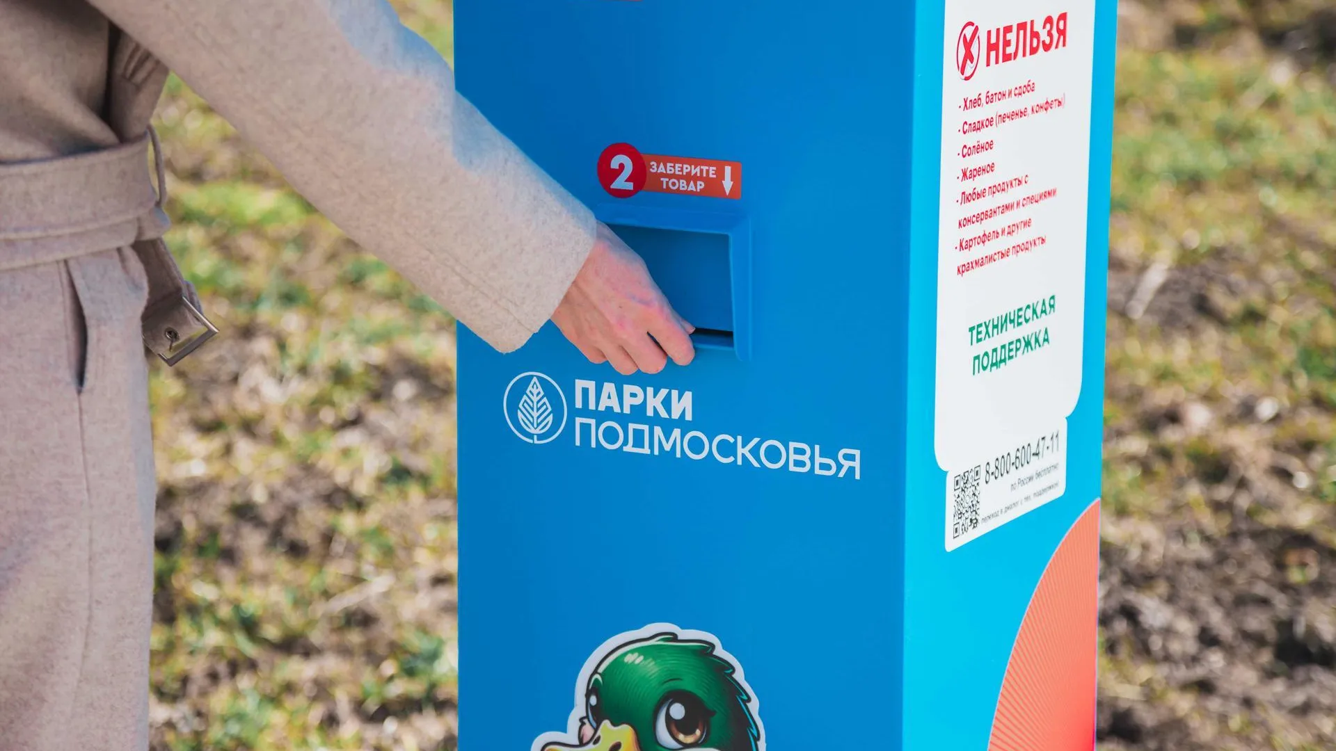 Аппарат для кормления уток установили на Набережной в Кашире