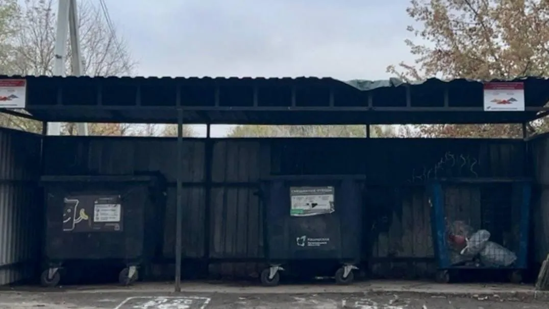 В Домодедове следят за содержанием контейнерных площадок, уборка которых волновала жителей