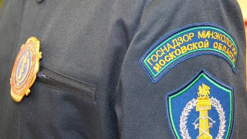 Эксперты Минэкологии Подмосковья постоянно мониторят ситуацию с выявлением птичьего гриппа