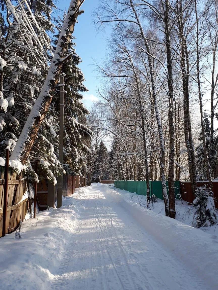 фото из личного архива