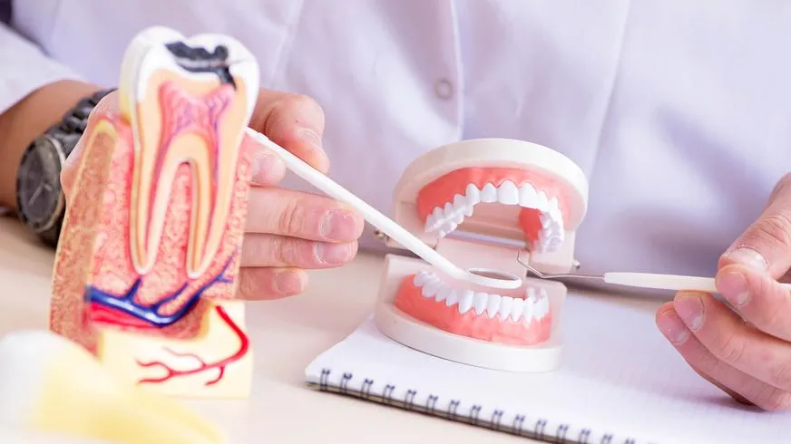 Elnur / Фотобанк Лори