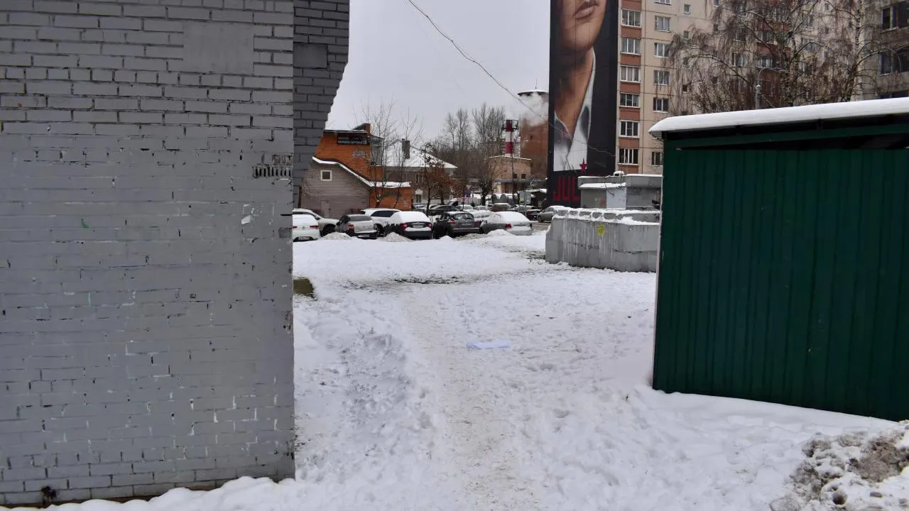 Тропу на Новой улице в Балашихе могут включить в программу губернатора «Пешком»