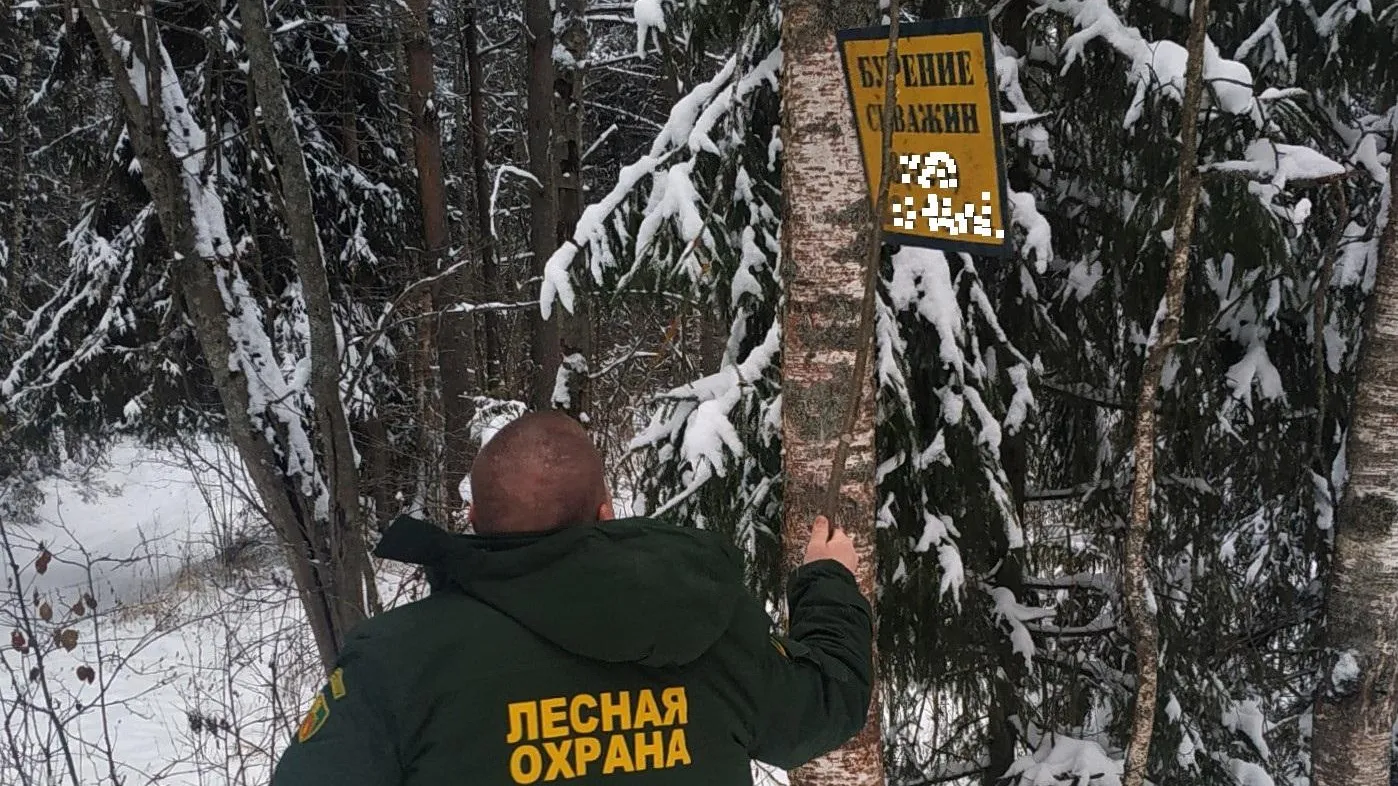 Свыше 400 рекламных баннеров ликвидировали в Сергиево‑Посадском лесничестве в 2022 г
