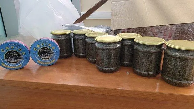 Мужчина пытался вывезти из Москвы в Дубай черную икру на 340 тыс рублей