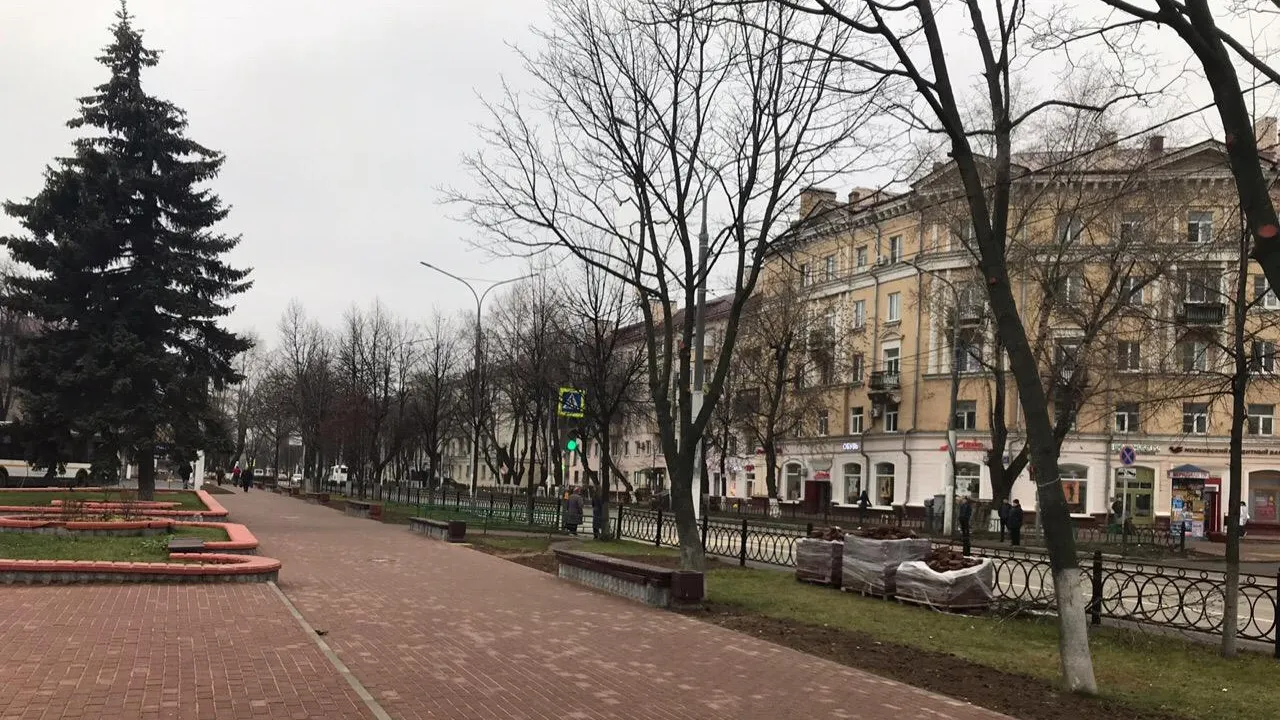 Территории у 15 станций МЦД благоустроили в Подмосковье