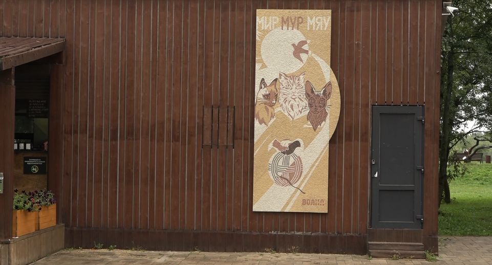 Мозаичное панно, символизирующее мир и дружбу, установили в Дубне
