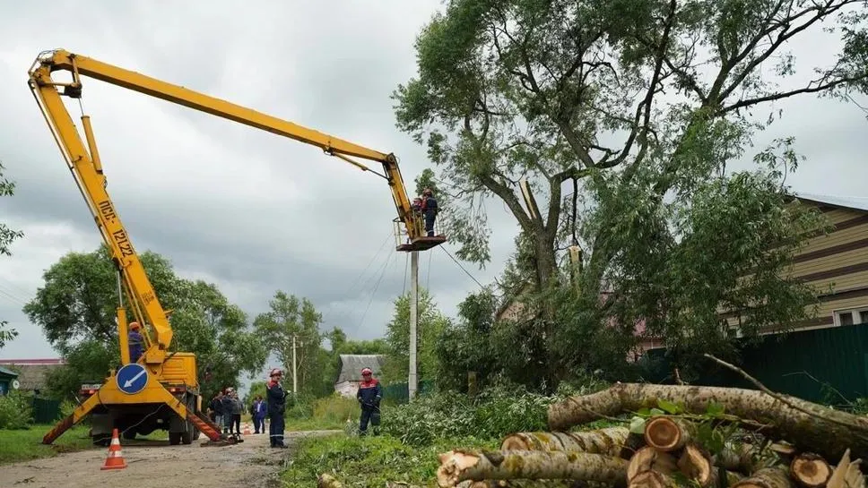 Электроснабжение во всех населенных пунктах Подмосковья восстановили после непогоды