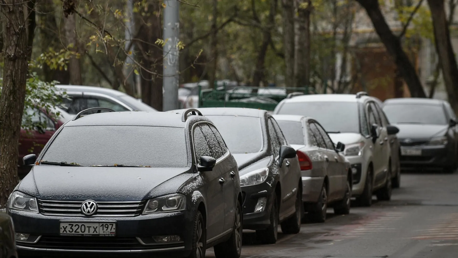 Температура ниже нуля и без осадков ожидается в Московском регионе во вторник