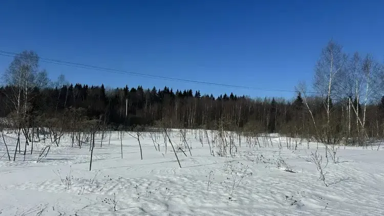 Участок на торгах в Подмосковье