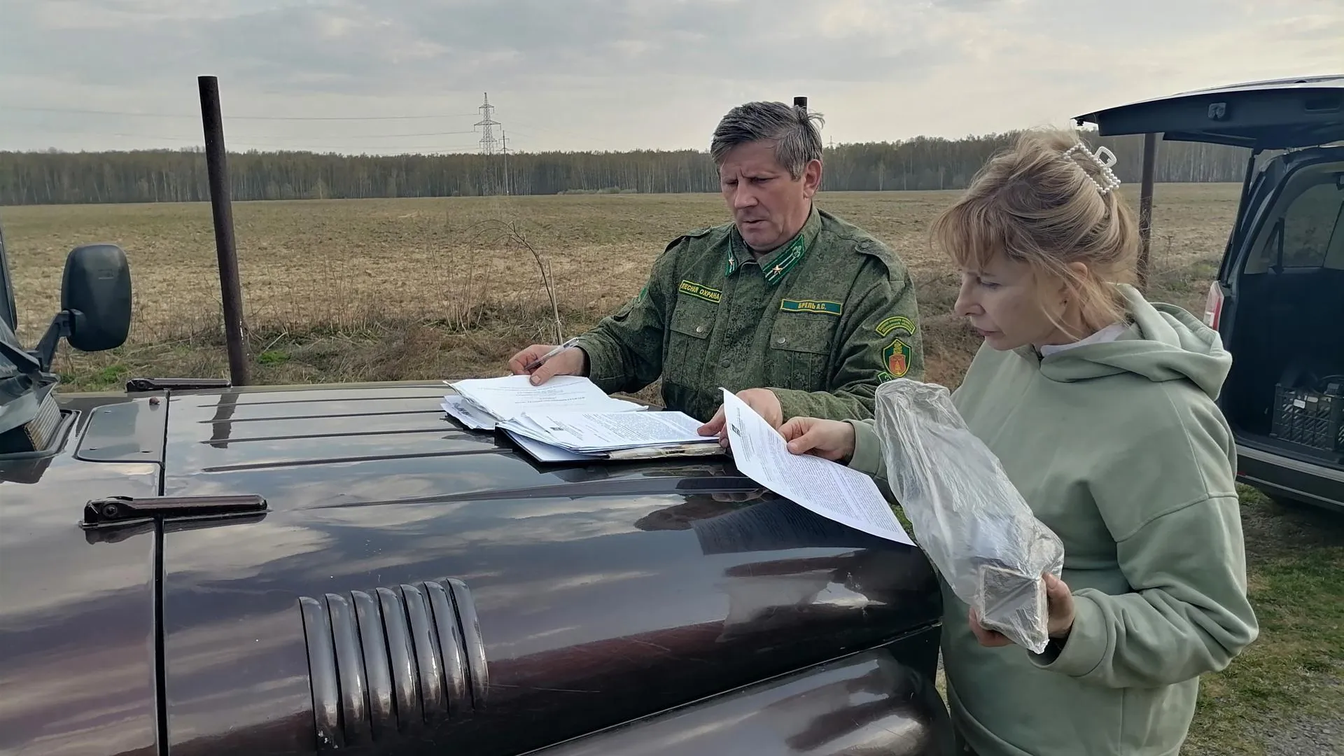 Свыше 260 расследований провела лесная охрана Подмосковья за октябрь