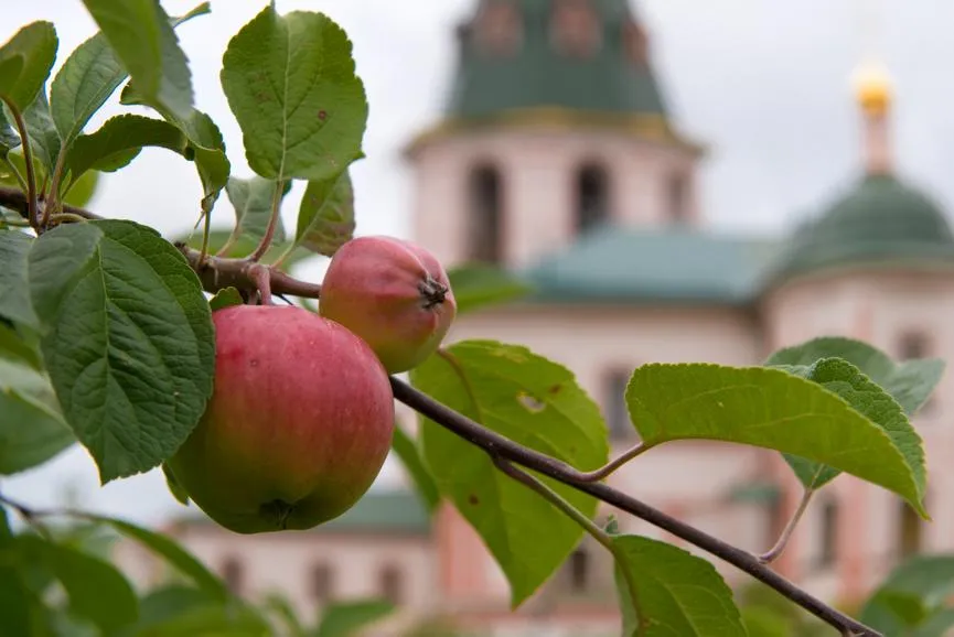 Pukhov K / Фотобанк Лори