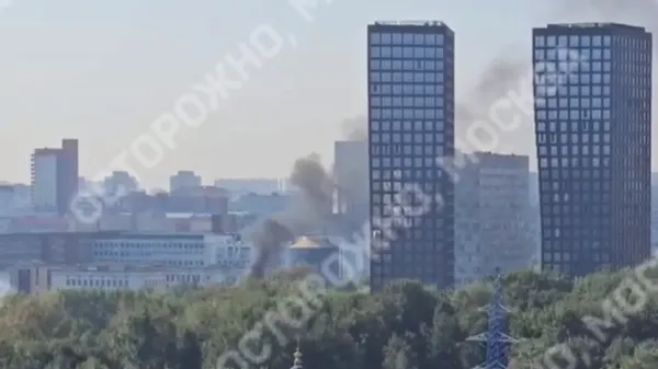 Пожар произошел на территории Воронцовского парка в Москве