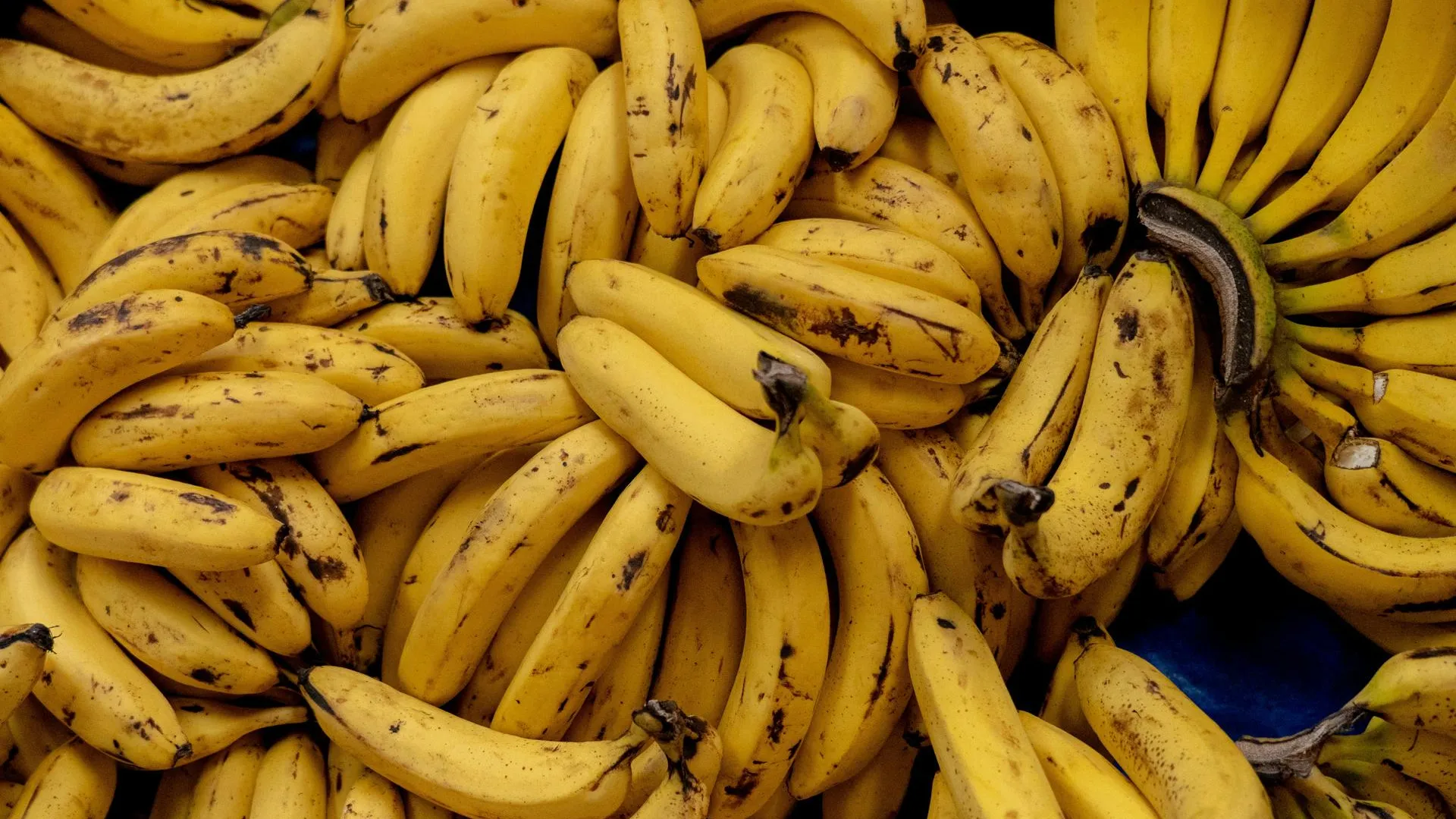 «Огуречный аромат» за 500 рублей: зачем нужен ГОСТ на бананы