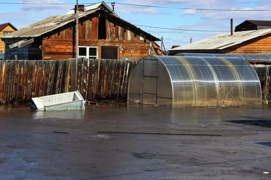 Кирилл Шипицин