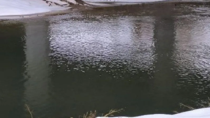 В Домодедове собственников земель обяжут соблюдать требования Водного кодекса РФ