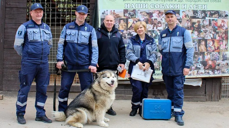 В Химках газифицировали приют для животных