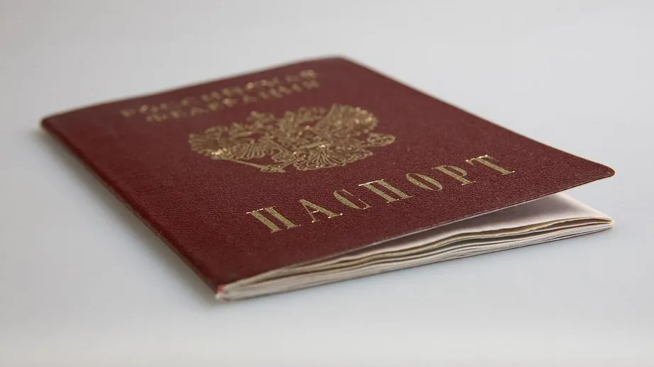 В Госдуму внесли законопроект о расширении перечня оснований лишения гражданства