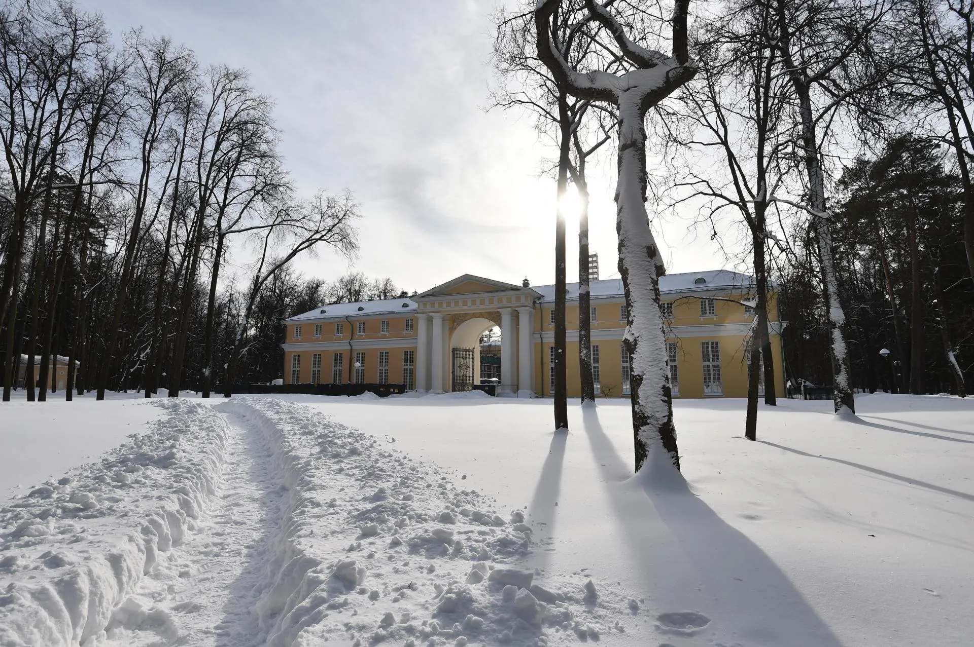 Александр Манзюк