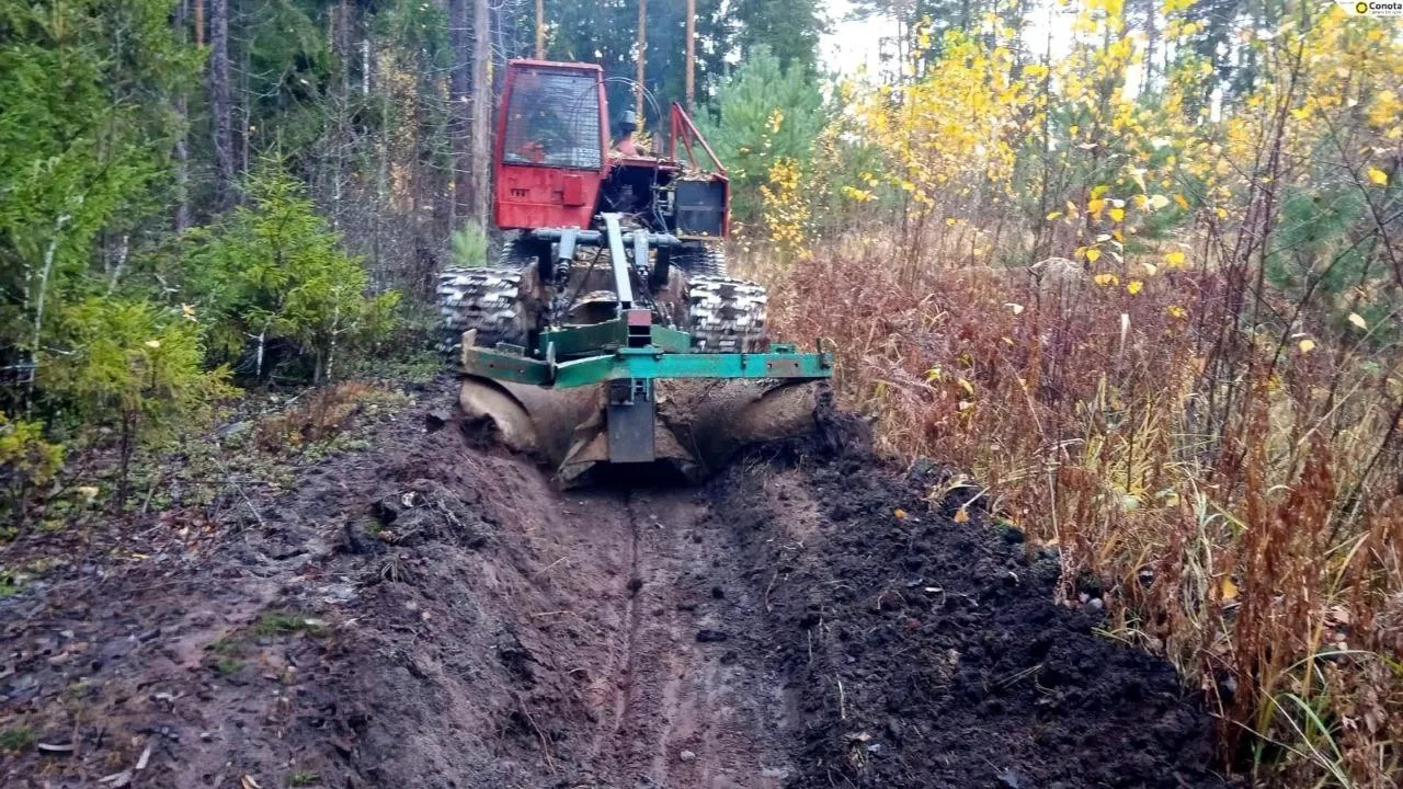 В Орехово-Зуевском округе обустроят более 150 км противопожарных полос в лесах