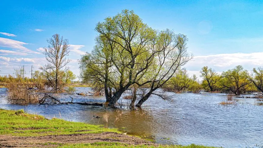 Александр Тараканов / Фотобанк Лори