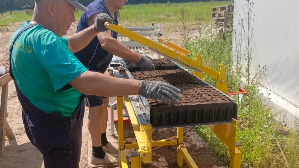 Летние работы продолжаются в подмосковных питомниках Комлесхоза