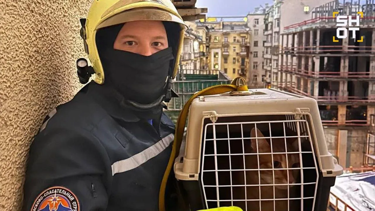 скриншот