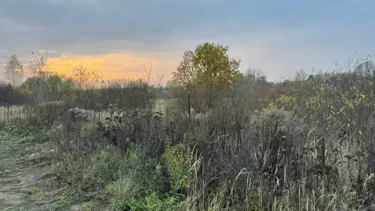 Стал известен топ-3 округов Подмосковья по объектам на торгах за неделю