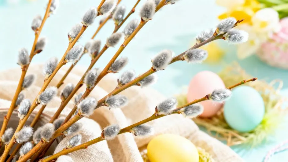 Когда отмечается Вербное воскресенье в 2026 году и как правильно провести этот праздник