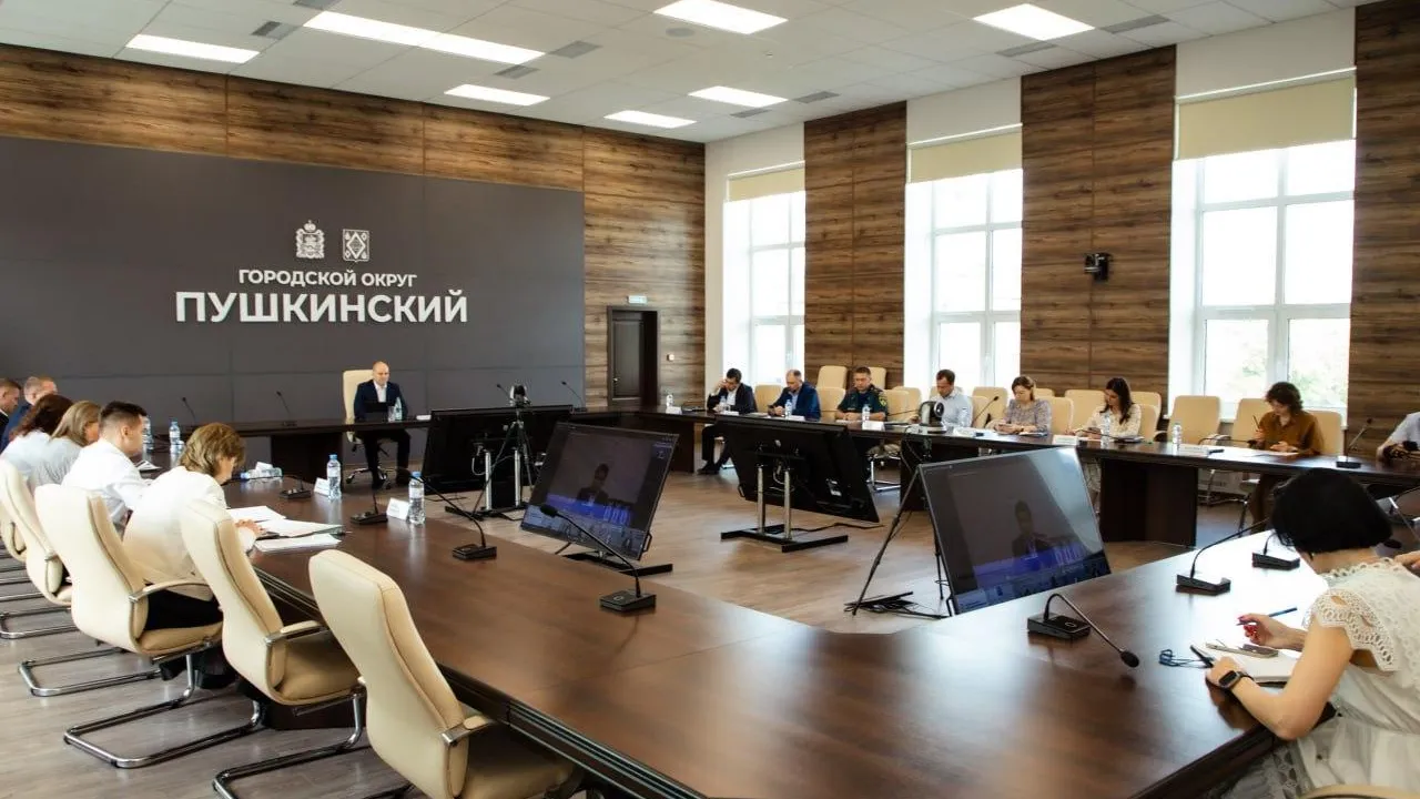 В Пушкинском капитально ремонтируют 5 образовательных учреждений и 2 автодороги