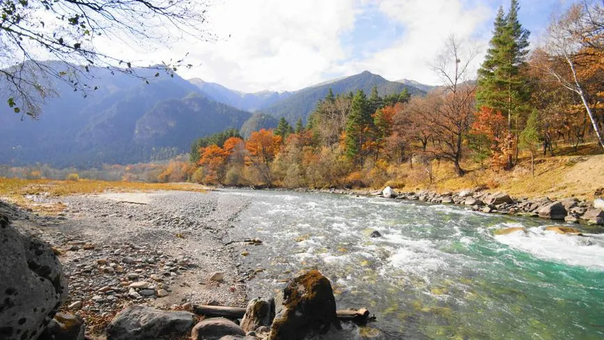 Игорь Бржезинский / Фотобанк Лори