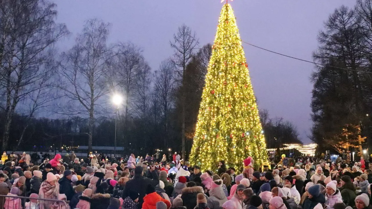 Оформление территории округа к новогодним праздникам обсудили в Ступине