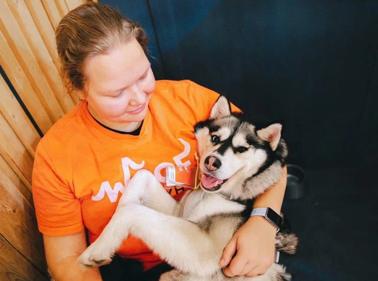 Приют GETDOG