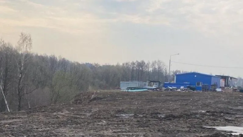 Нарушителя в Одинцовском округе намерены обязать ликвидировать незаконную свалку