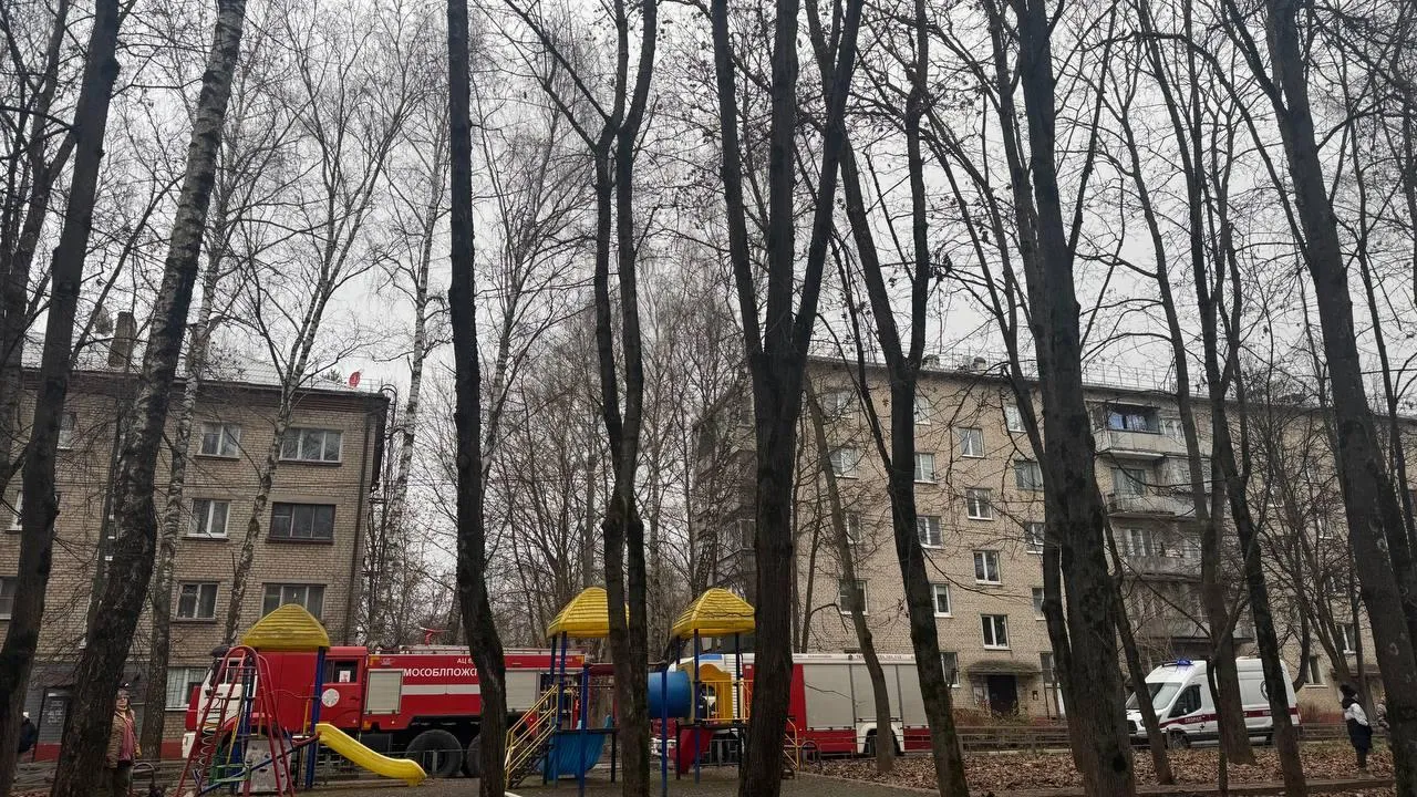 Пожарные спасли кота при тушении пожара в Нахабино 8 декабря