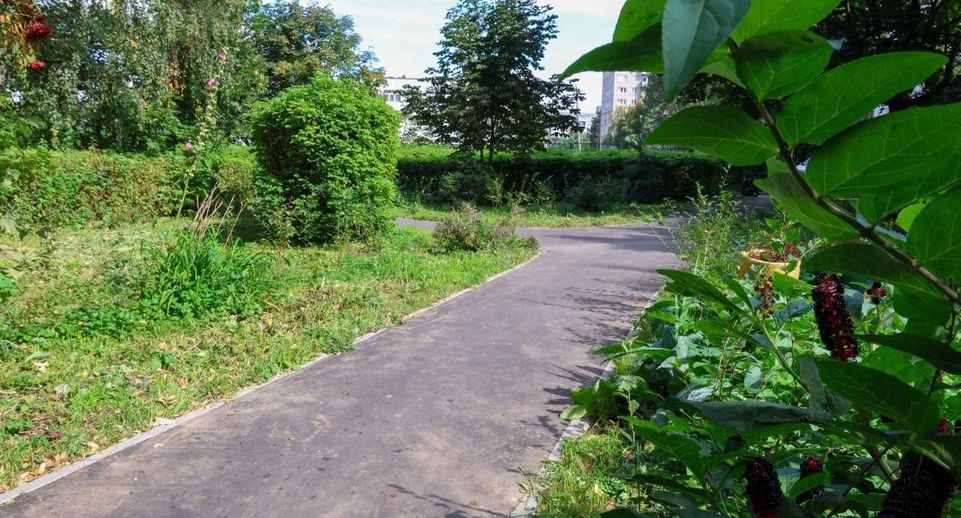 В Подольске за лето заасфальтировали 24 народные тропинки