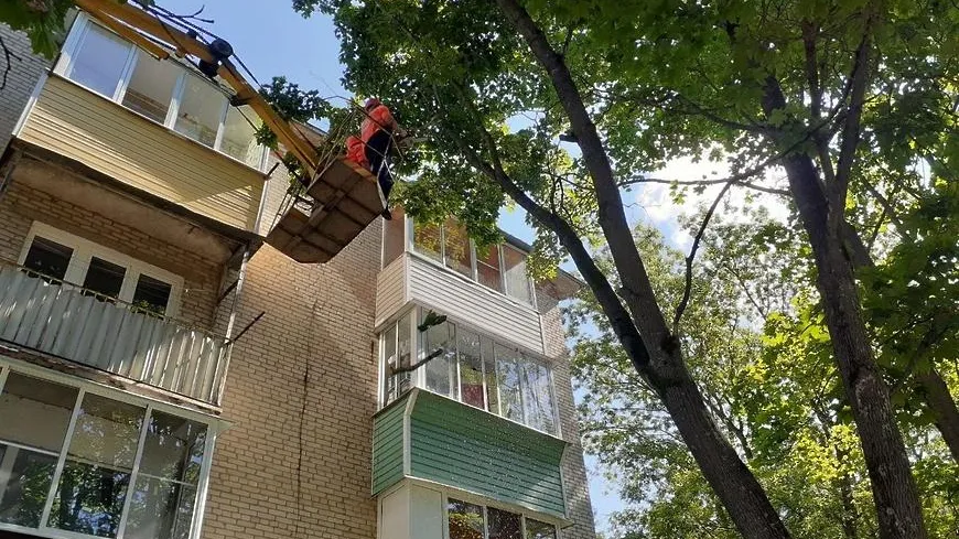 В микрорайоне Климовск Подольска с 3 августа начнут обрезать деревья на улице Советская