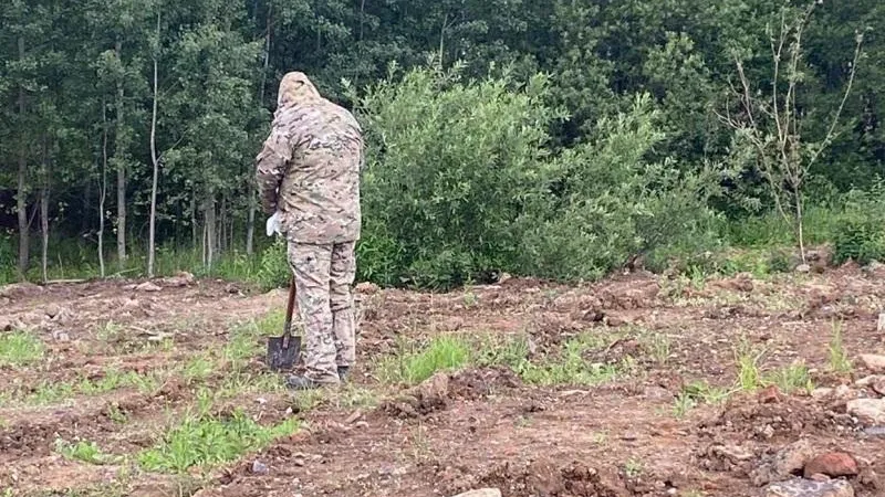 В Ленинском округе с нарушителя намерены взыскать 1 млн рублей за порчу земель