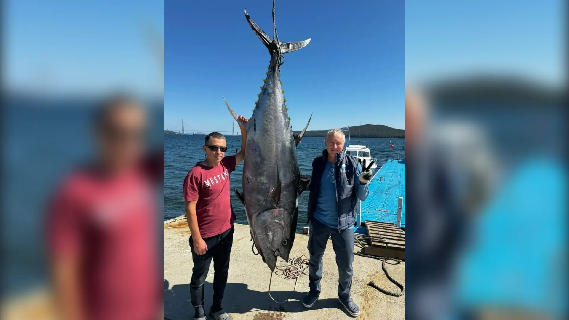 Рекорд Дальнего Востока: огромного тунца поймали на удочку во Владивостоке