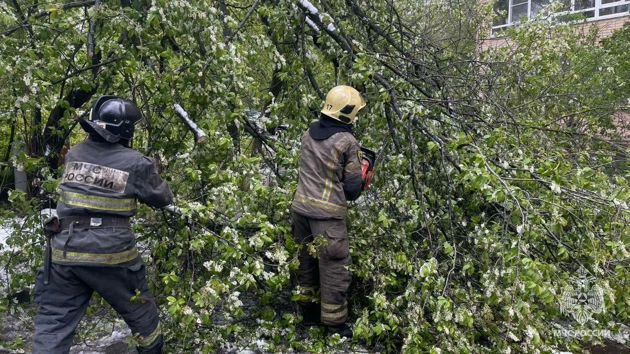 Сотрудники МЧС присоединились к устранению поваленных деревьев в Химках