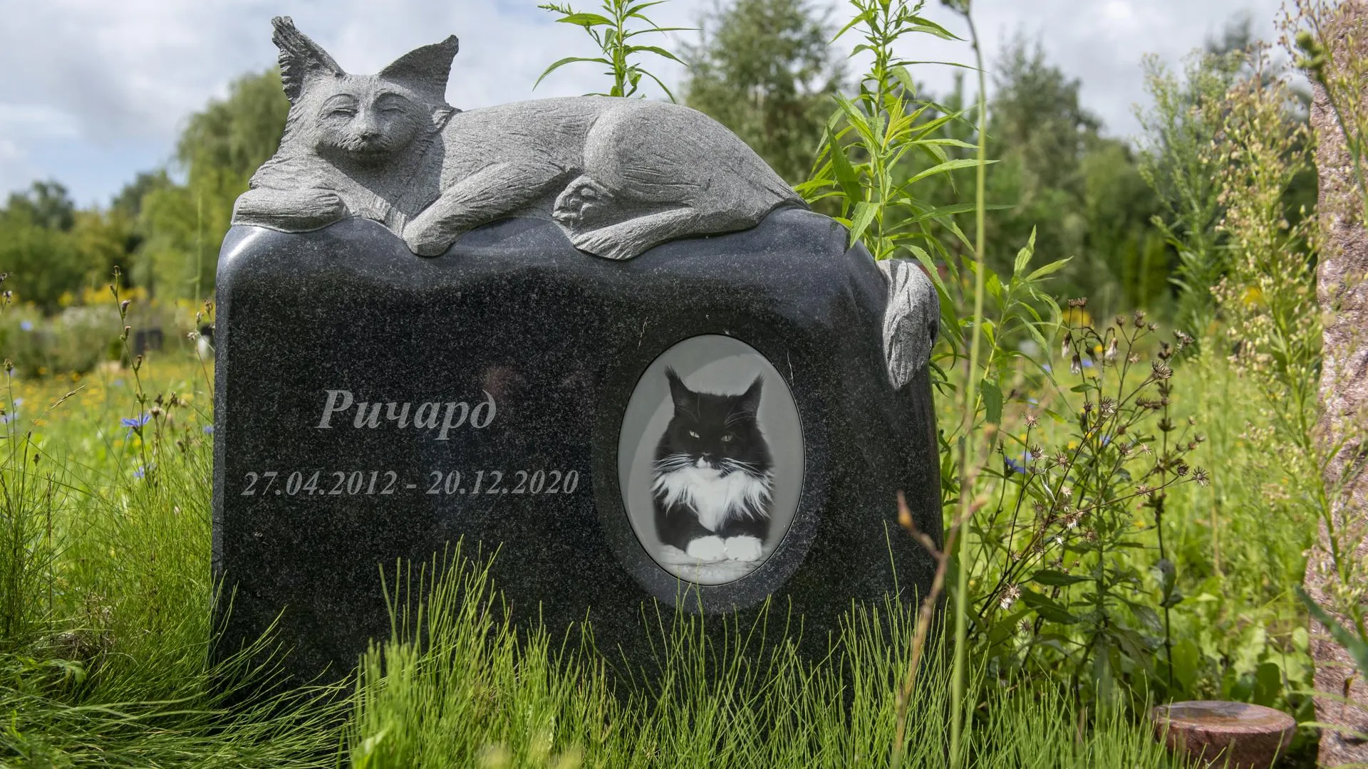 РИАМО, Сергей Дружинин