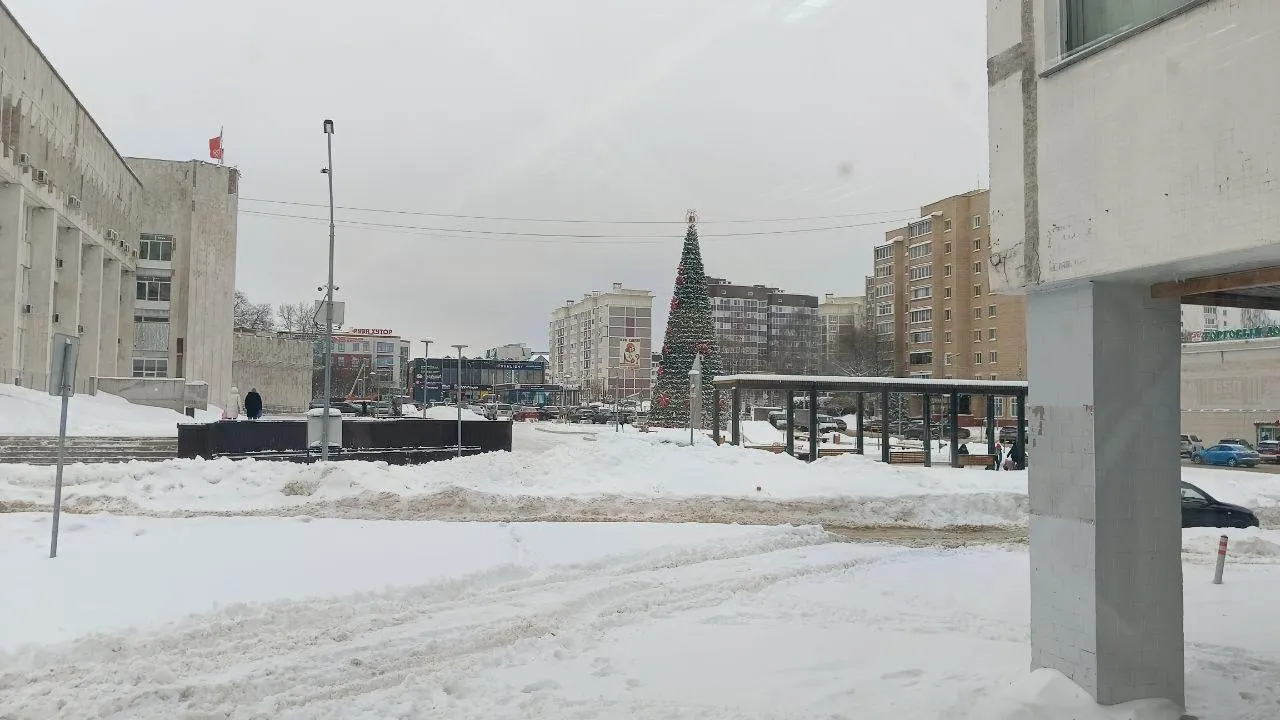 Полиция Рузы задержала похитителей новогодней елки из Дома быта