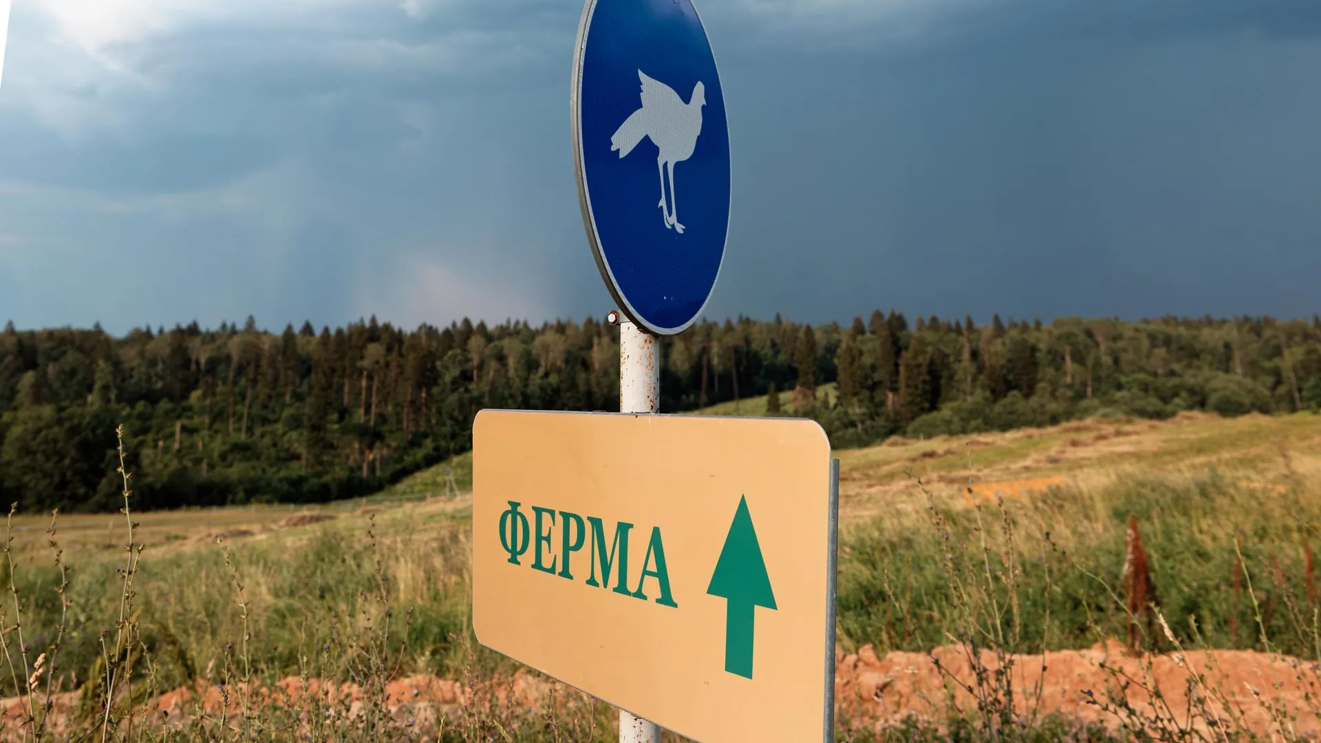 В Истринском округе проведут гонку с препятствиями на ферме Олега Сироты