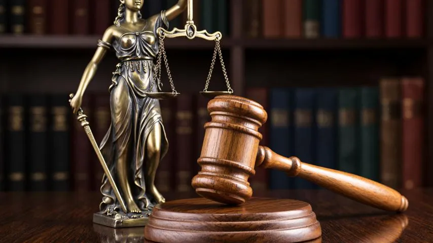 Журналистку Кичигину* заочно посадили в колонию на 10 лет за ложь про ВС РФ