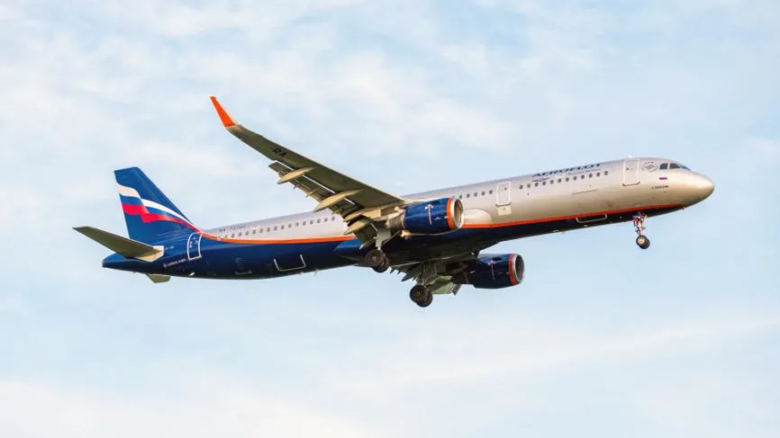 Рейс Москва — Баку сел после вылета из-за столкновения с птицей