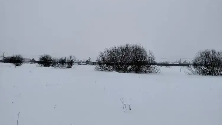 Наибольшее число лотов выставлено на торги в Ступине, Истре и округе Шаховская