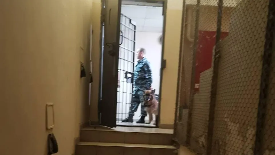 Прокуратура взяла на контроль уголовные дела, возбужденные после побега из СИЗО в Истре